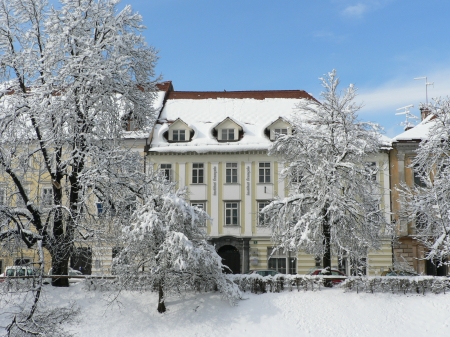 Institut francais